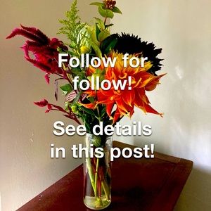 Follow for follow!